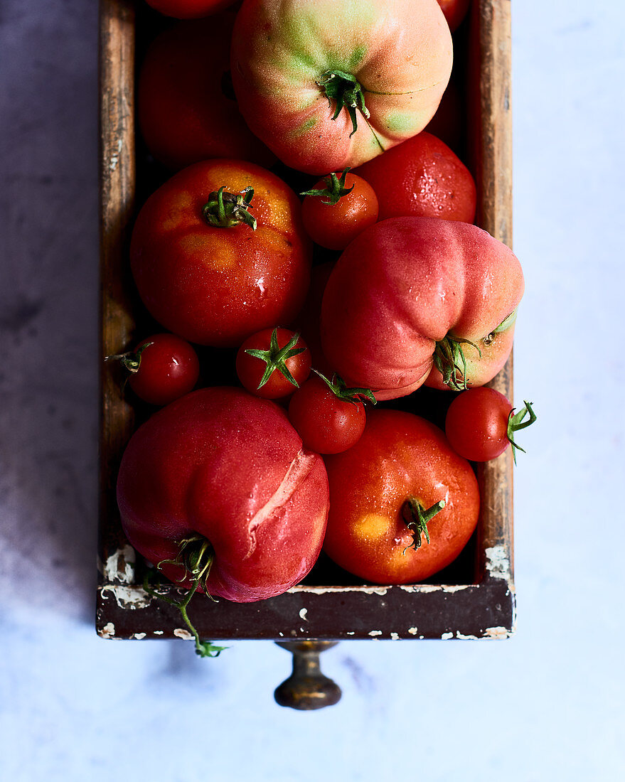 Freshly harvested organic tomatoes (seen from above)