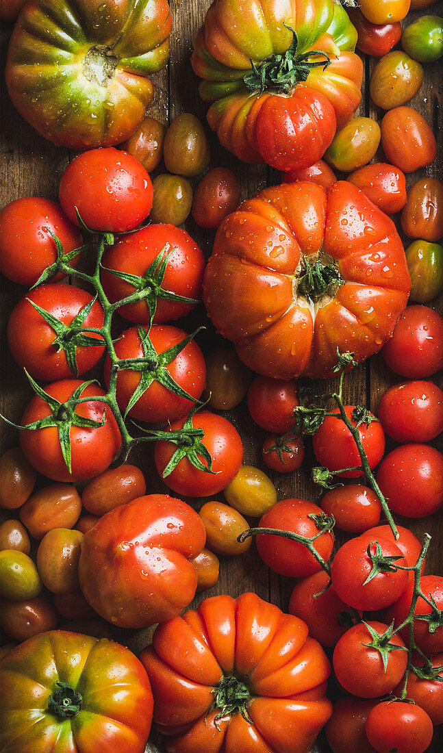 Colorful tomatoes of different sizes and kinds