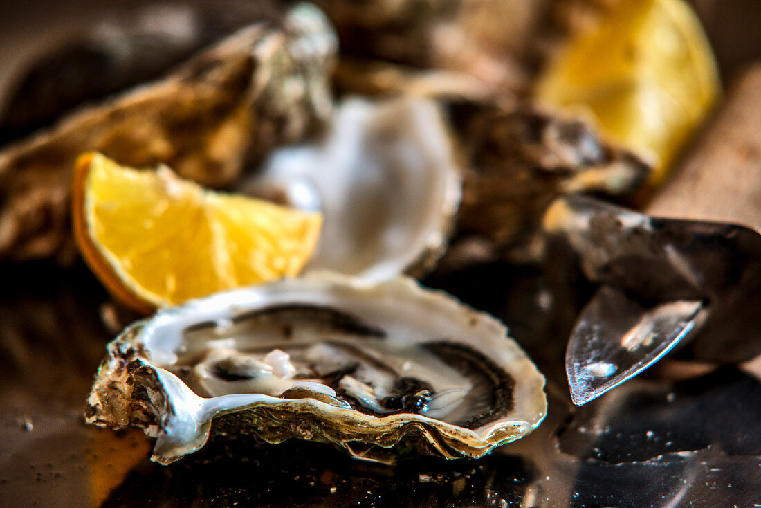 Marennes-Oleron-Austern (Nahaufnahme)