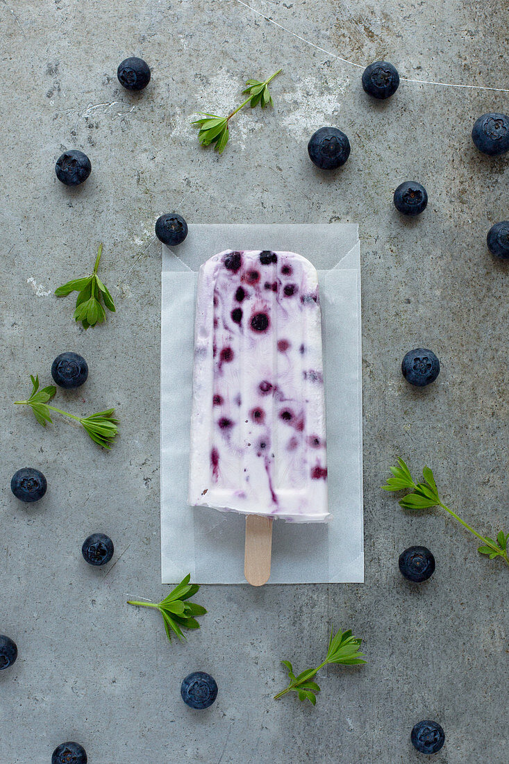 A blueberry yoghurt ice cream stick (seen from above)