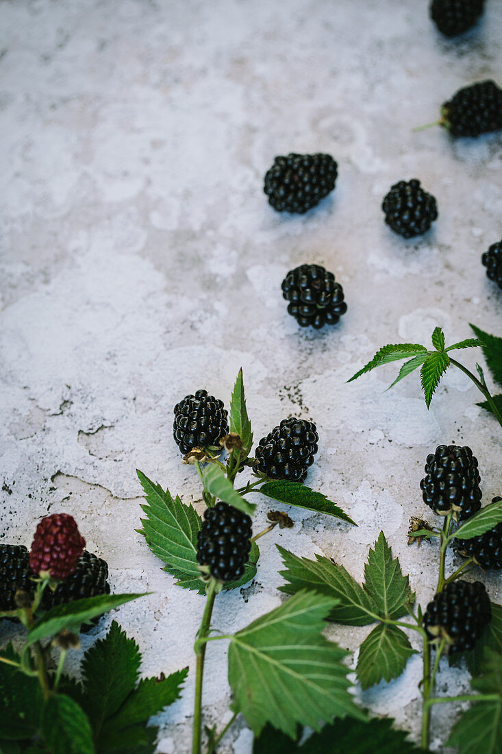 Blackberries with leaves on a stone surface