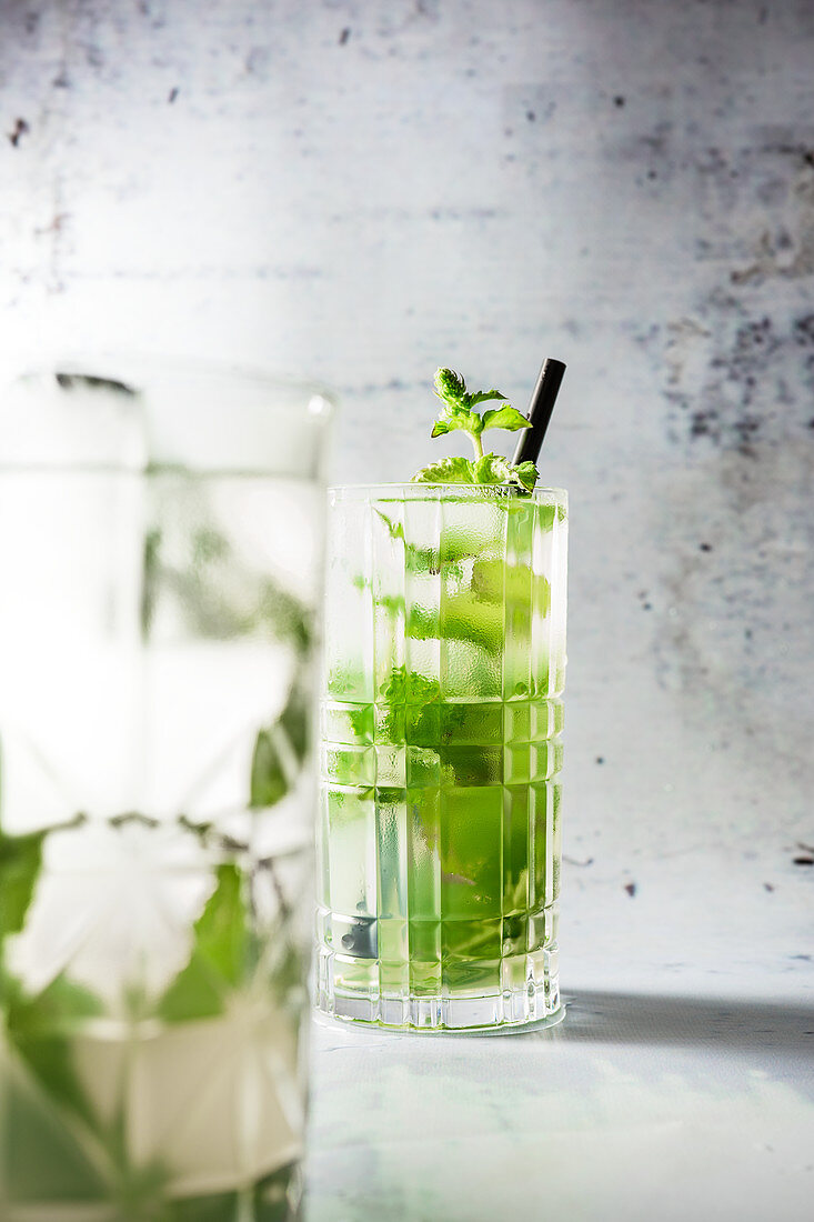 Mojito (cocktail made from Cuban rum, lime juice, peppermint and soda water)