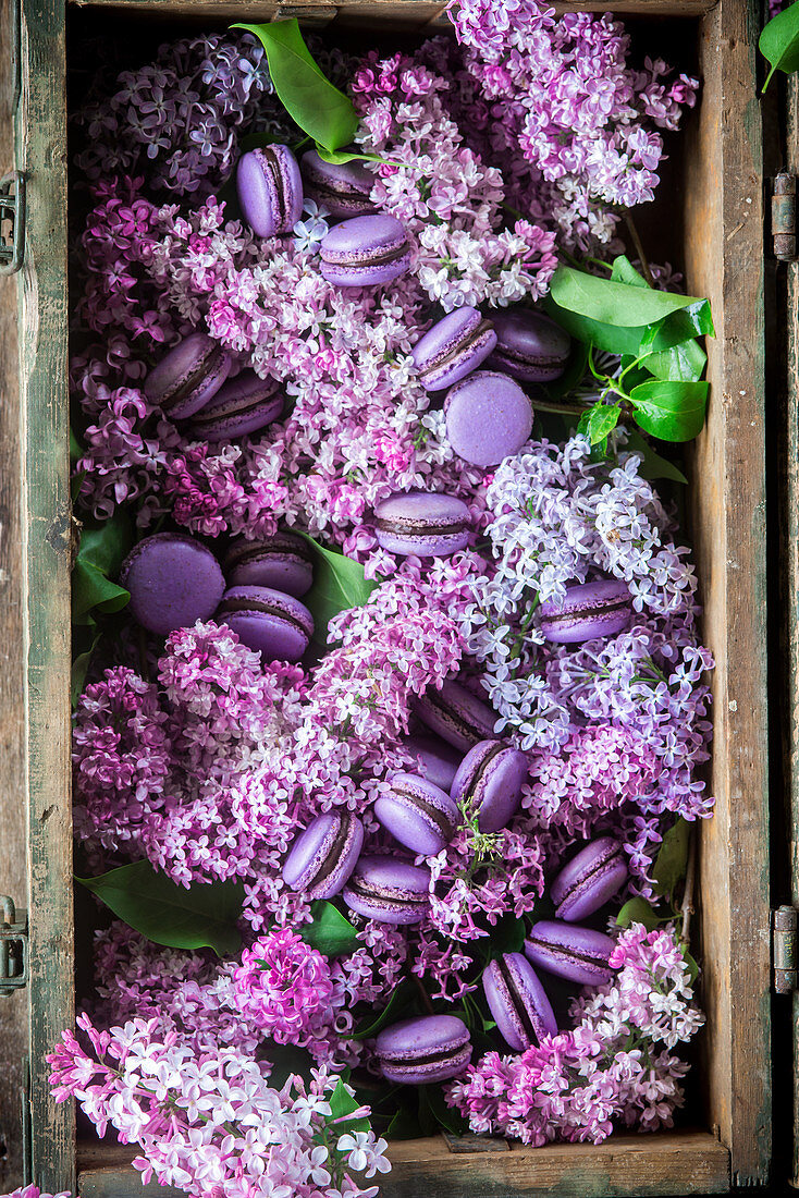 Violette Macarons und Flieder in einer Holzkiste