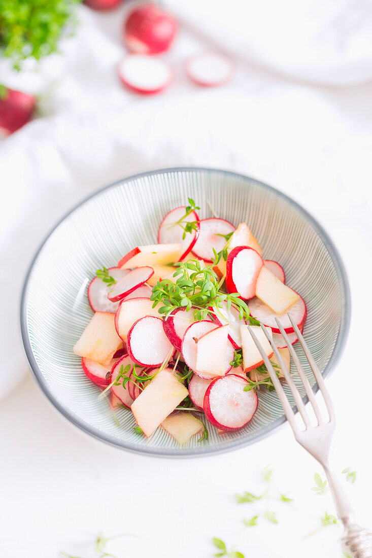 Radieschensalat mit Apfel, Kresse und Zitronenvinaigrette