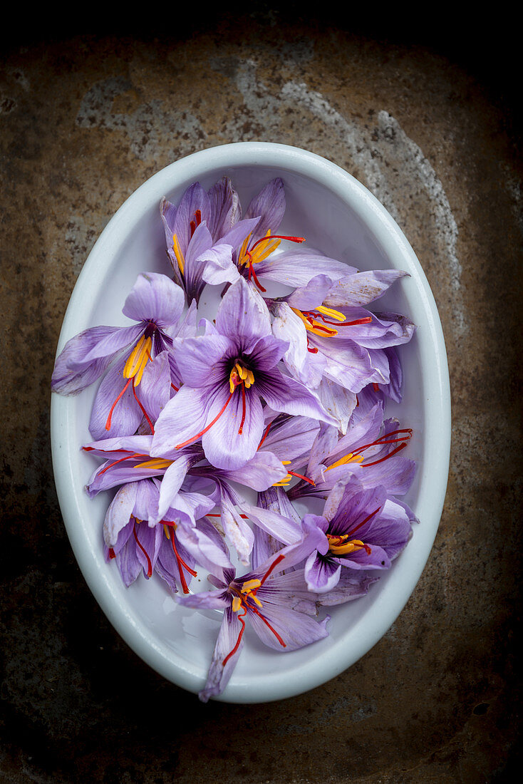 Saffron Flowers in a Bowl