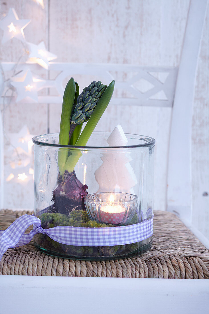 Advent arrangement of hyacinth, tealight and Christmas tree ornament arranged in glass vase