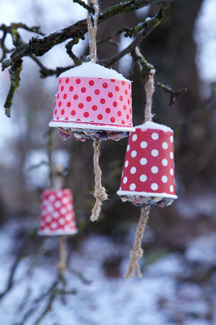 Bird feeders handmade from paper cups filled with bird food