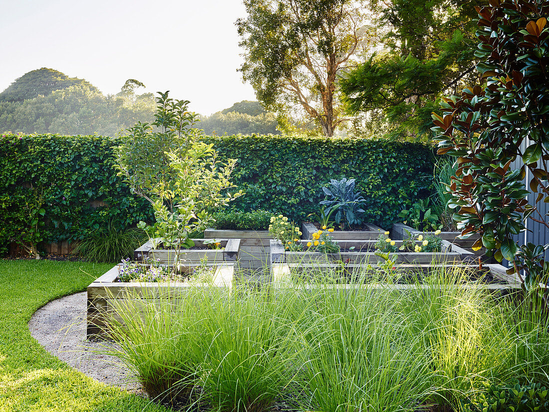 Raised beds with wooden edging in an elegant garden