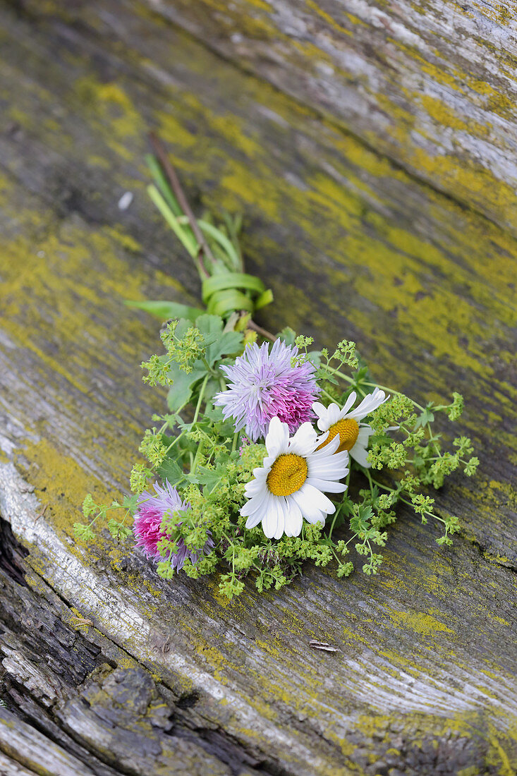 Posy of lady's mantle, red clover and ox-eye daisies lying on weathered wood