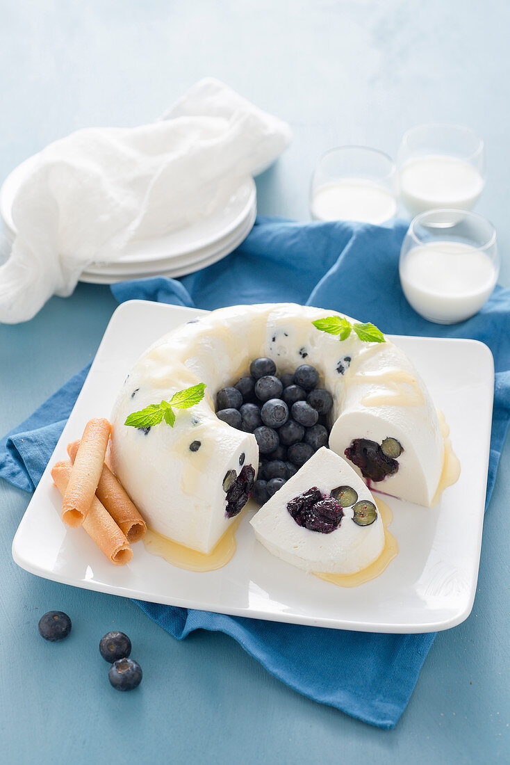 Joghurt-Blaubeer-Eiskuchen