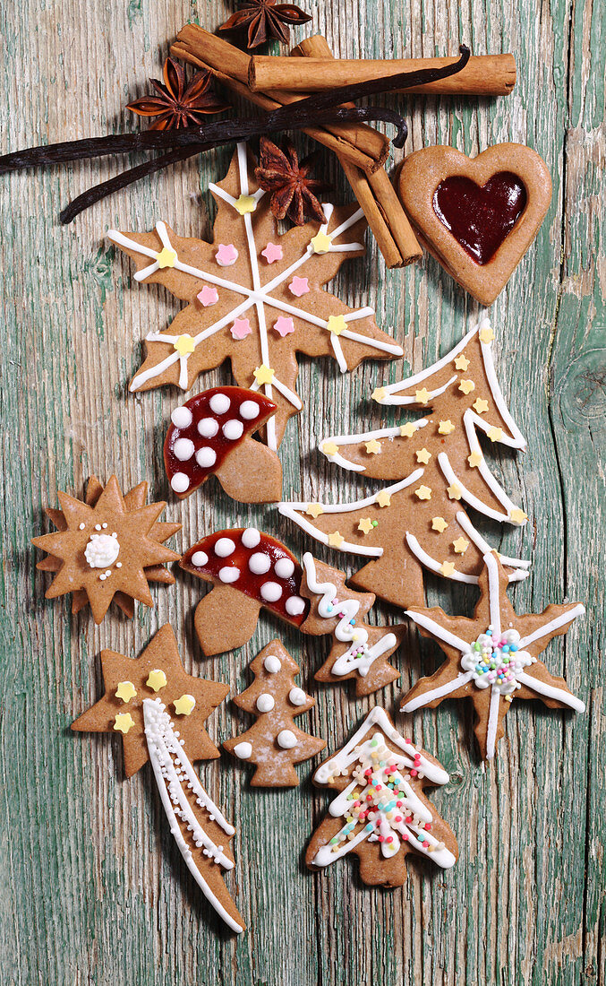 Verschiedene Lebkuchenplätzchen, verziert mit Fondant, Zucker und Gelee