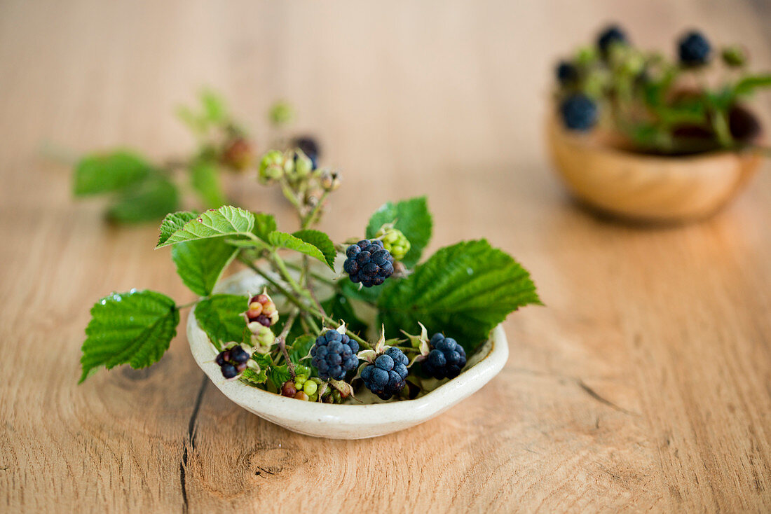 Brombeeren mit Blättern im Schälchen