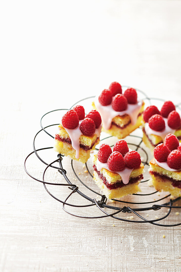 Raspberry and coconut bites