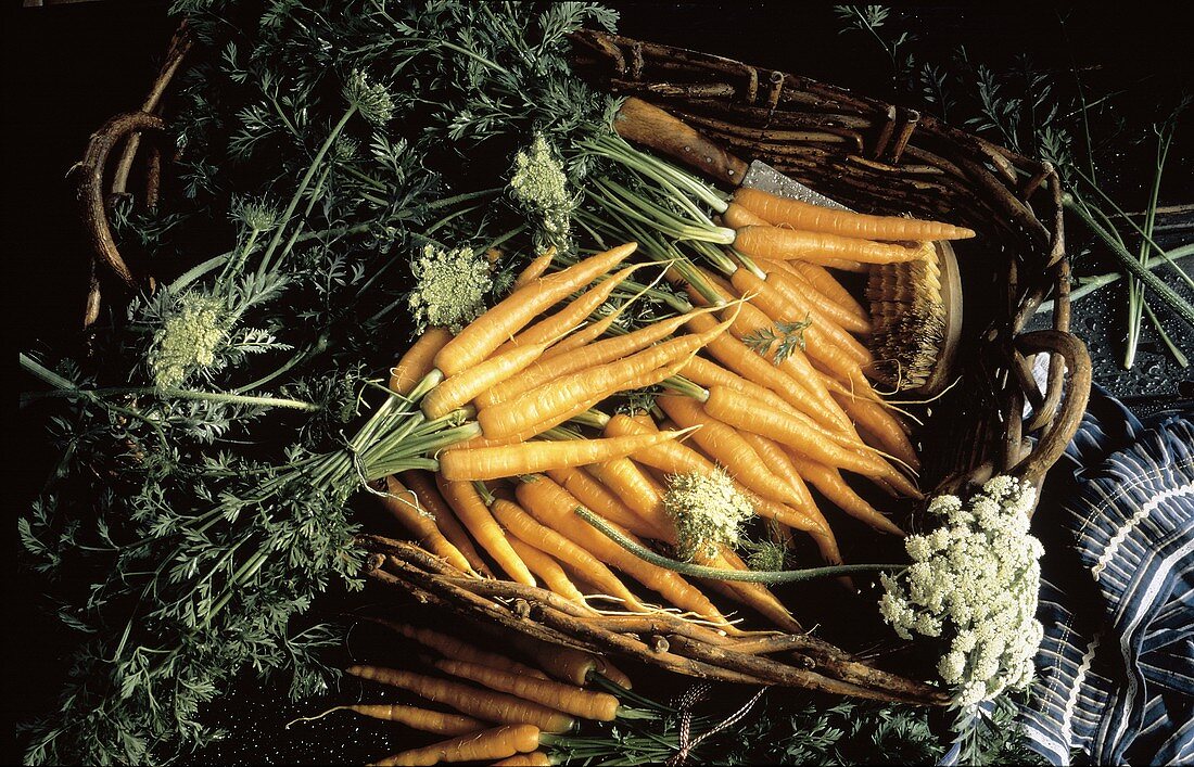 Washed Whole Fresh Carrots in a Basket