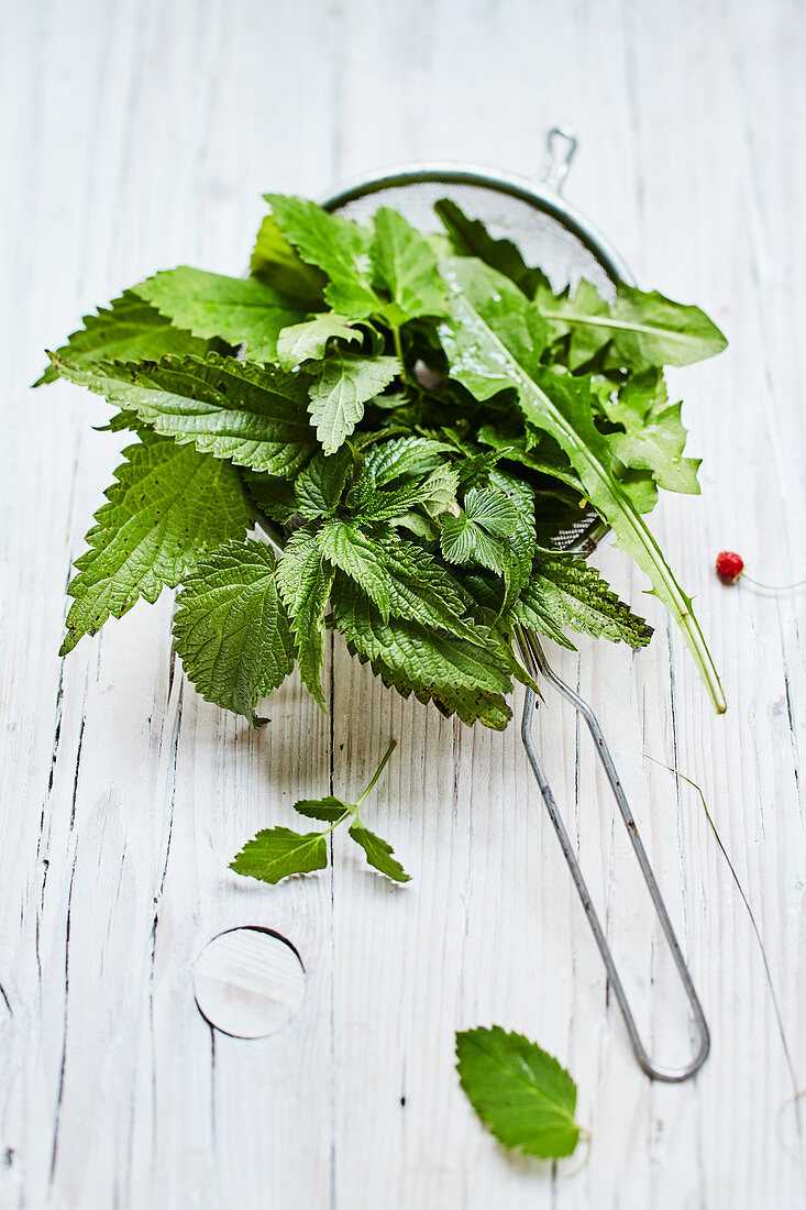 Various fresh wild herbs in a colander