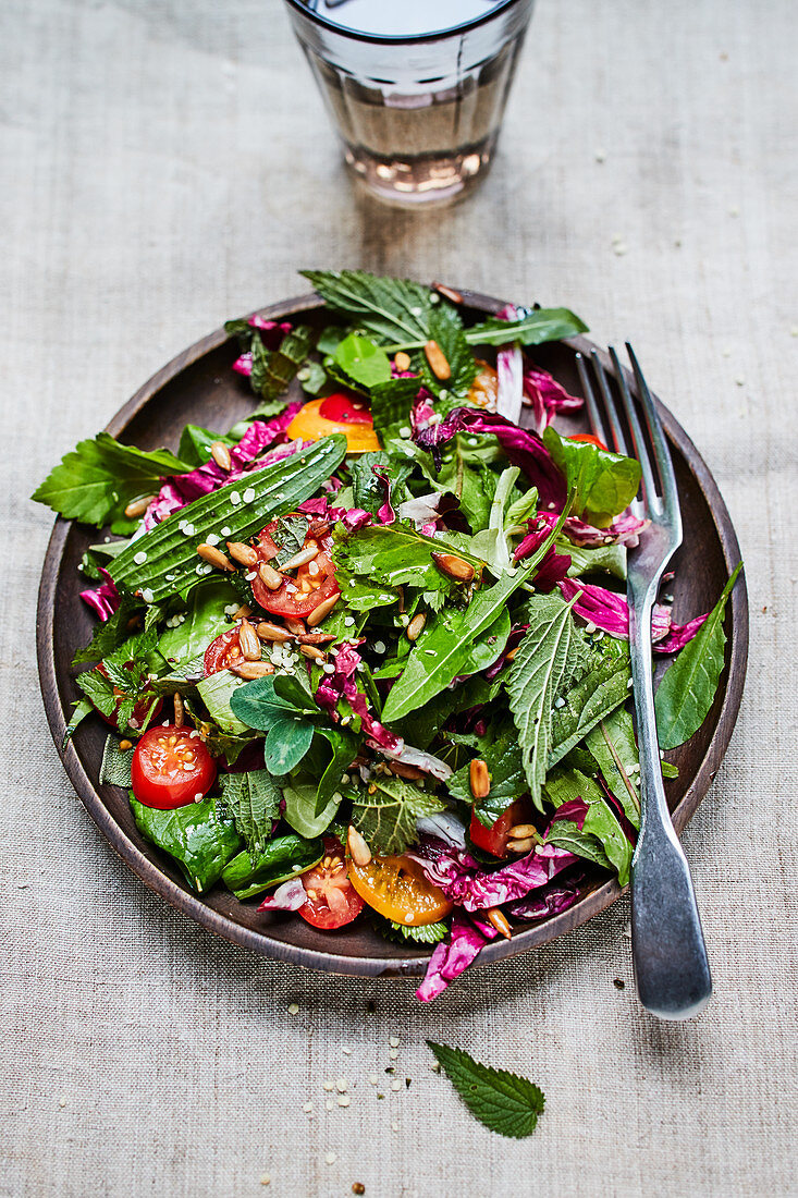 Wild herb salad with tomatoes and radishes