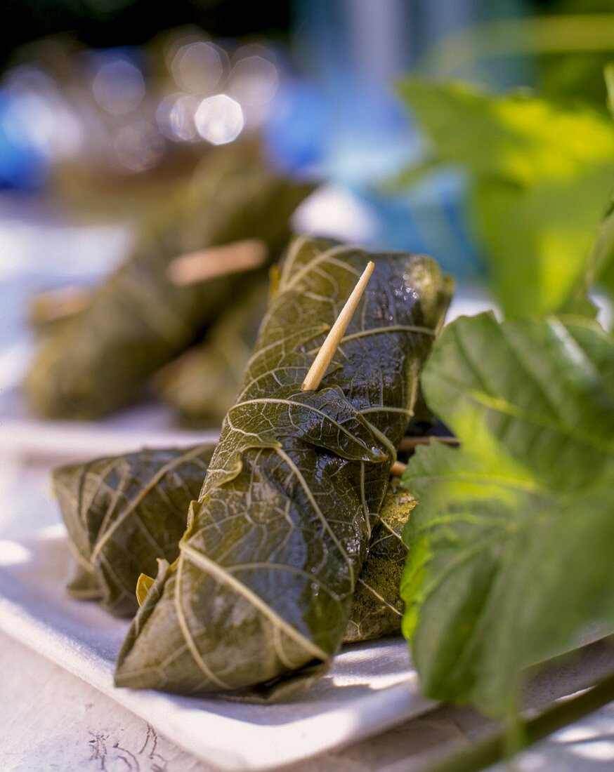 Stuffed vine leaves