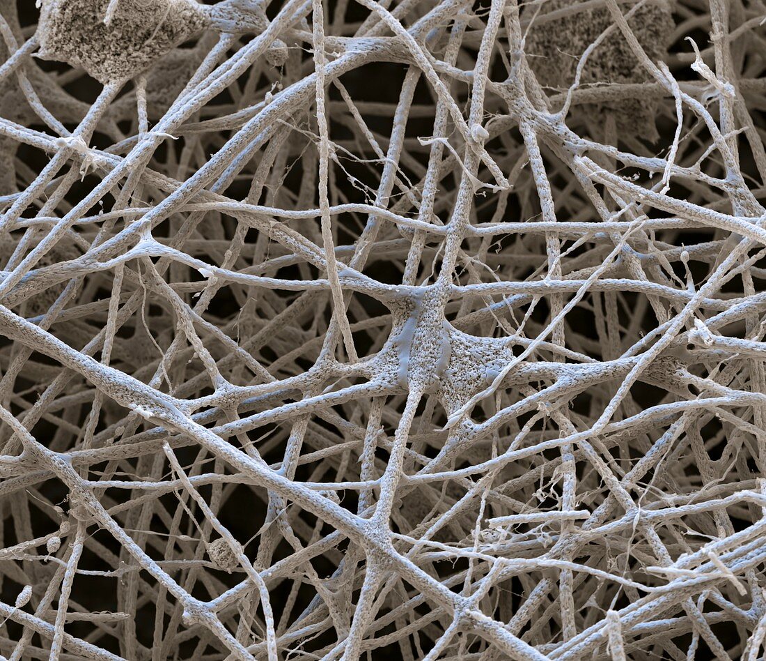 Nanofasern calciniert