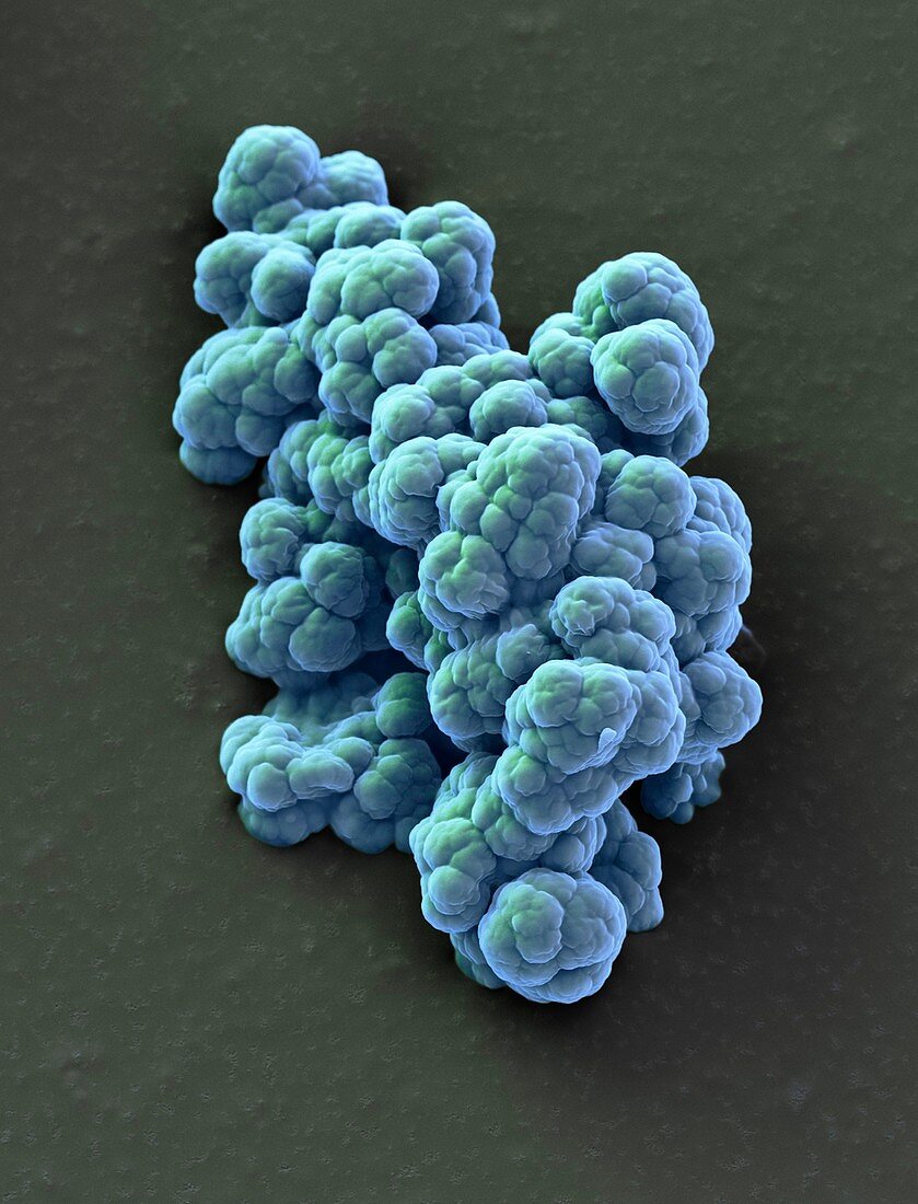 Microsphere filter particles, SEM