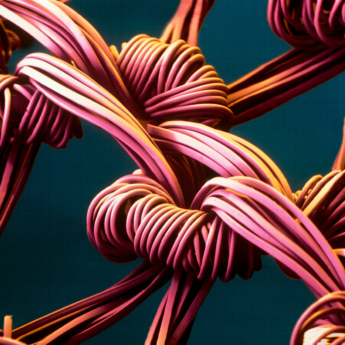 Coloured SEM of the weave of a nylon stocking
