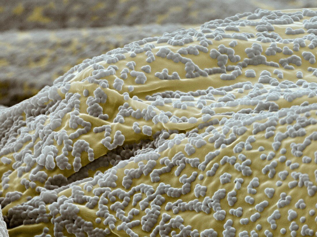 Baumwolle mit Nanopartikeln