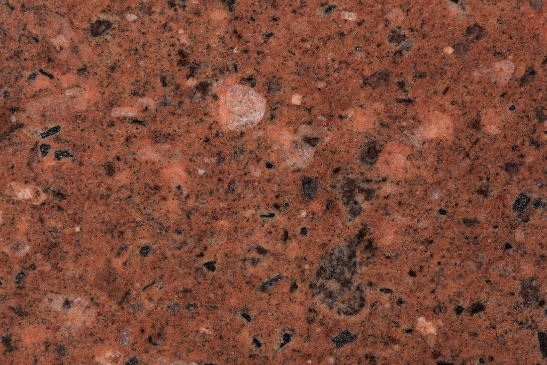 Rhyolite polished rock surface, macrophotograph