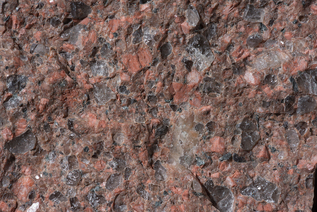 Rhyolite rock surface, macrophotograph