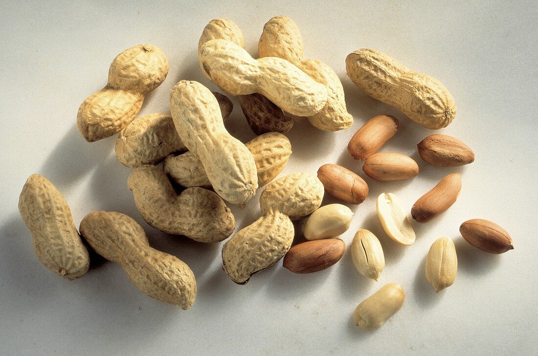 Whole and Shelled Peanuts