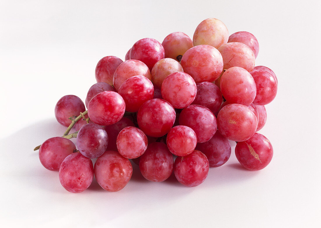 Red table grapes