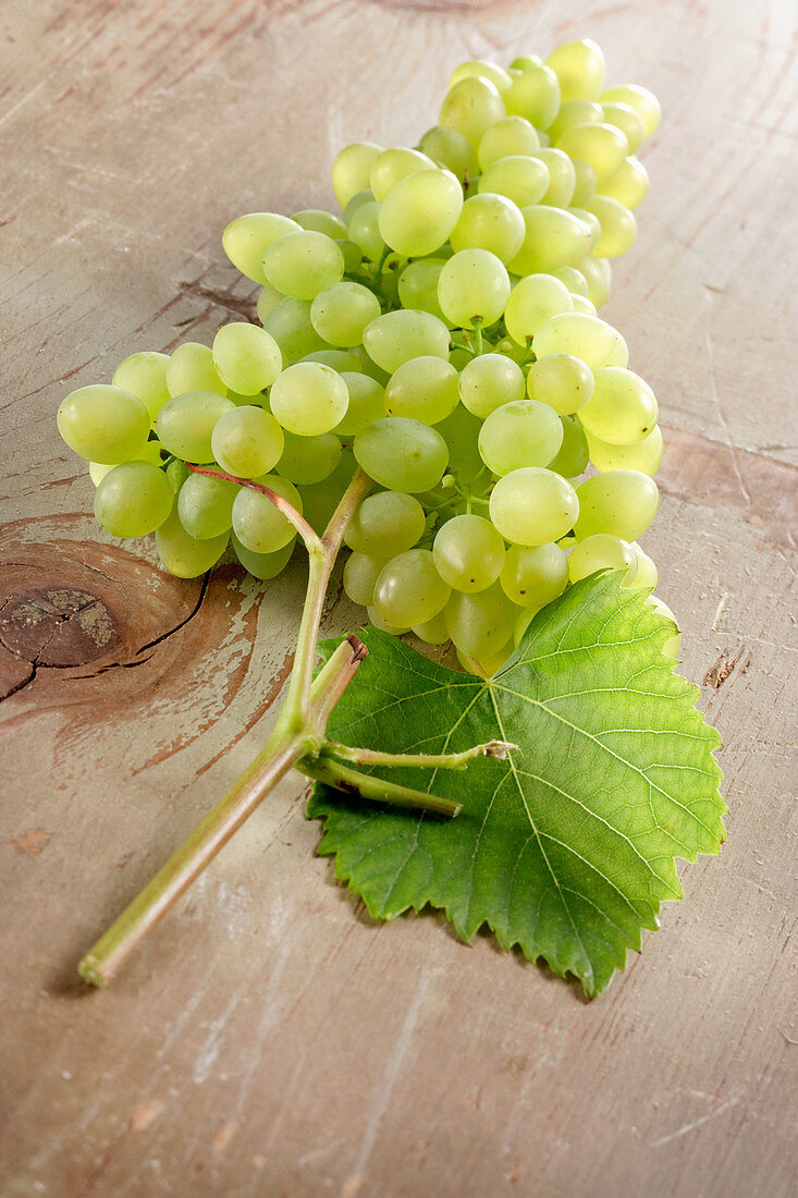 Grüne Weintrauben auf Holz mit Weinblatt
