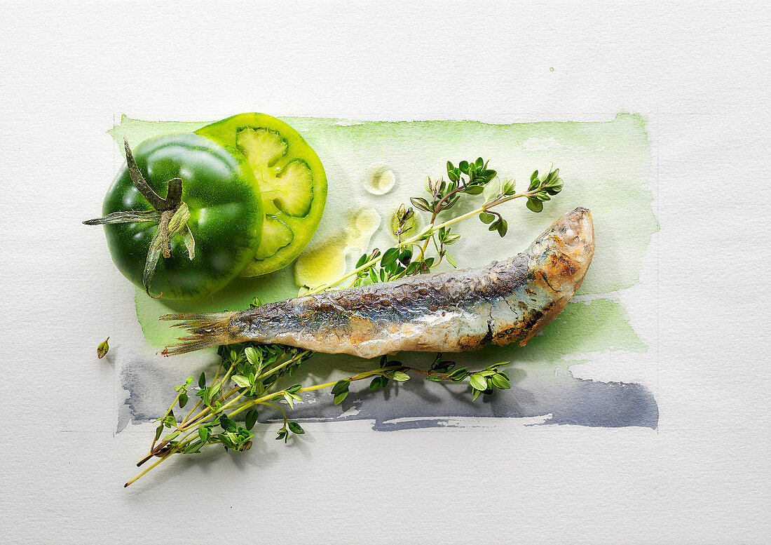 Food art: sardines with green tomatoes, thyme and olive oil on a page of watercolour