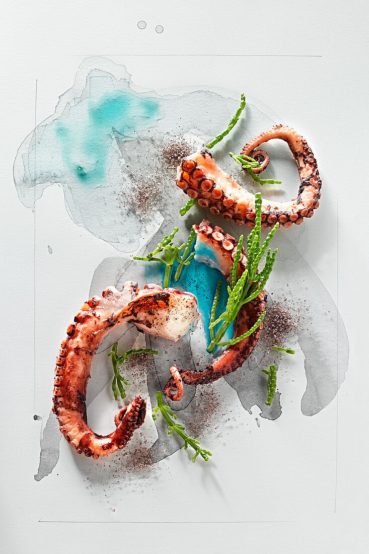 Food-Art: Oktopus mit Queller und Himalayasalz auf Aquarell
