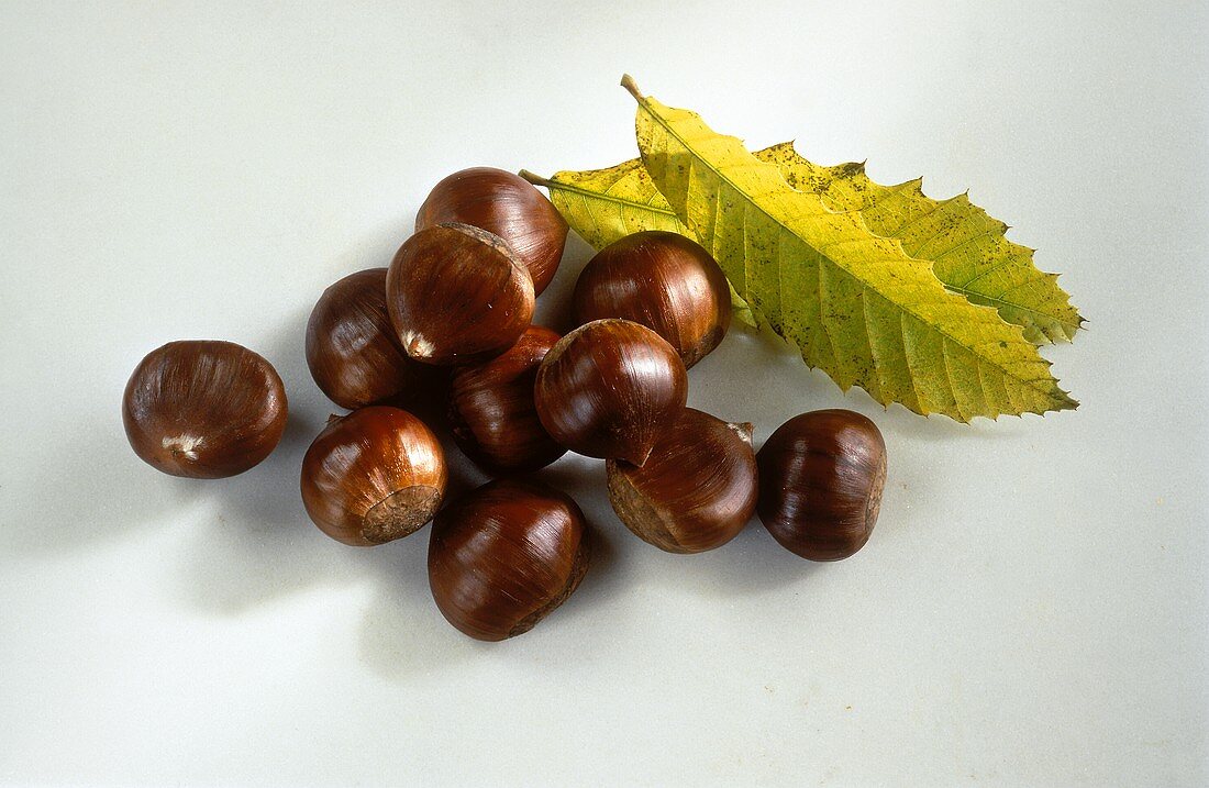 Many Sweet Chestnuts with Leaves