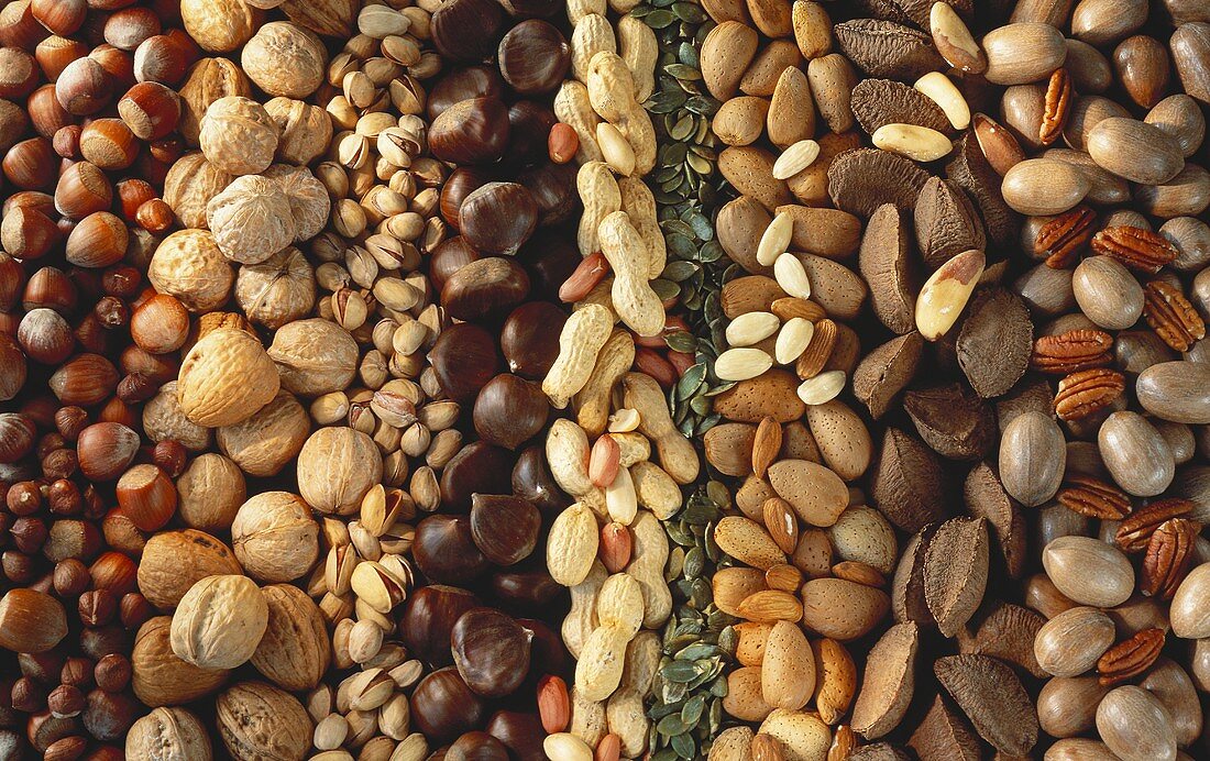 Several Rows of Assorted Nuts