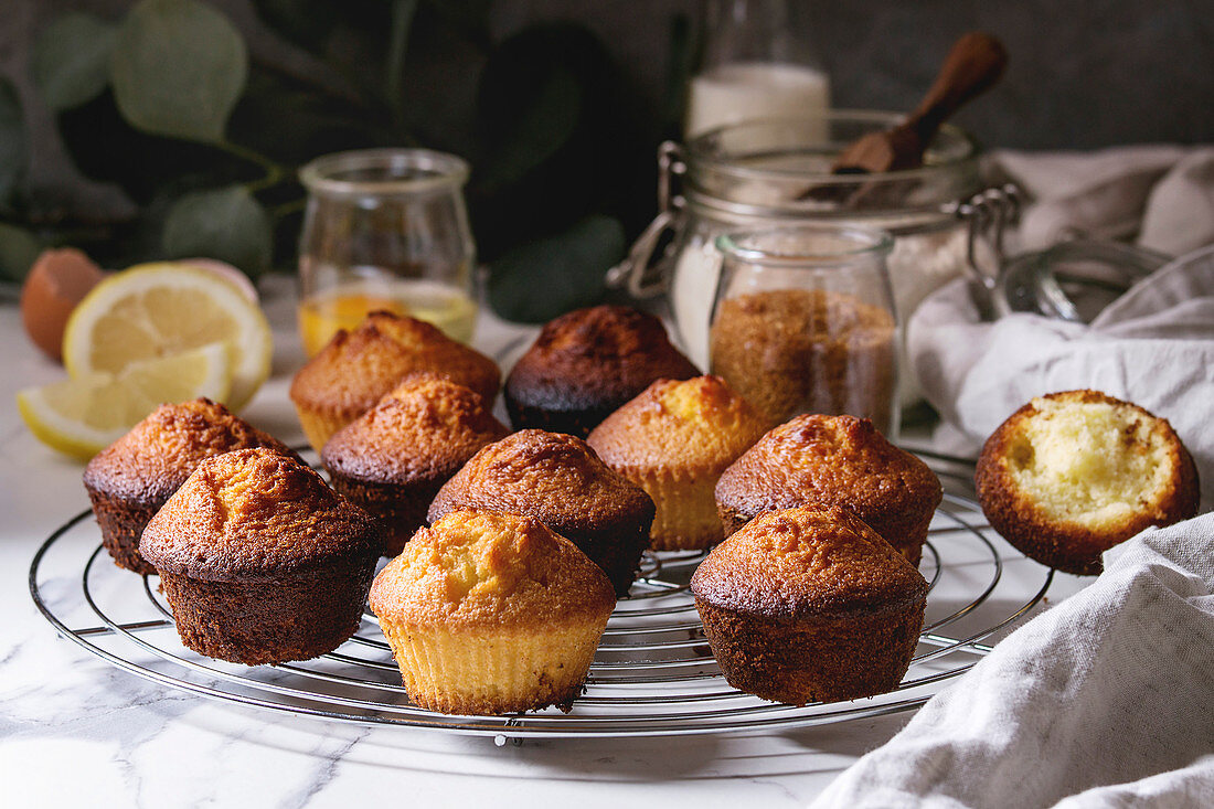 Fresh baked homemade lemon cakes muffins standing on cooling rack with eucalyptus branch and ingredients