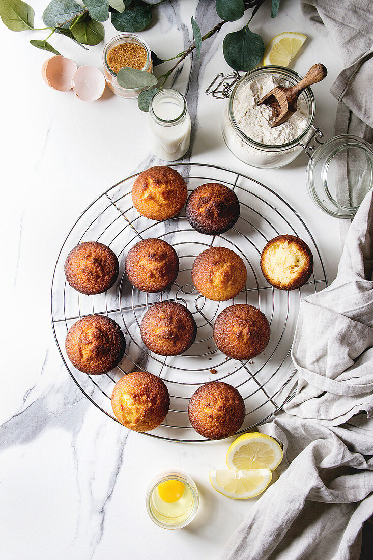 Fresh baked homemade lemon cakes muffins standing on cooling rack with eucalyptus branch