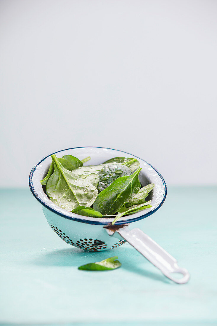 Fresh organic spinach leaves in metal colander