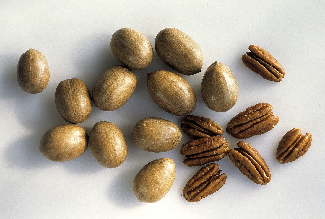 Whole and Shelled Pecans