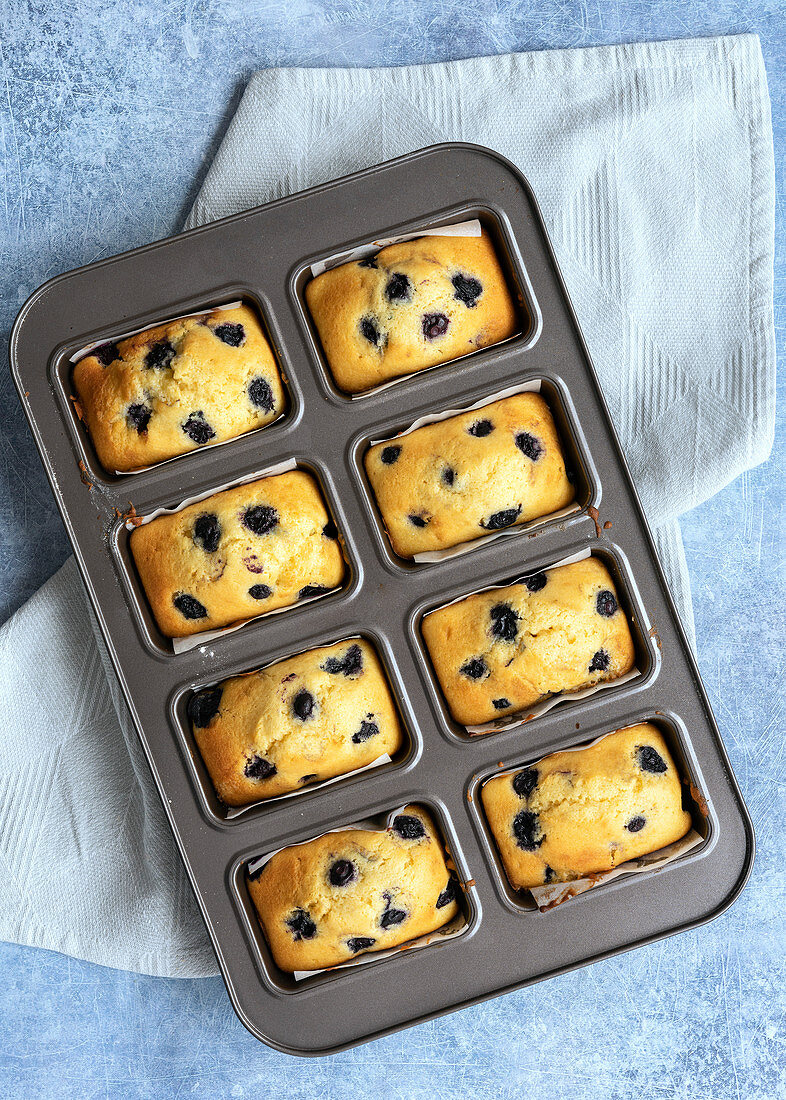 Individual blueberry loaf cakes cooling in a tin