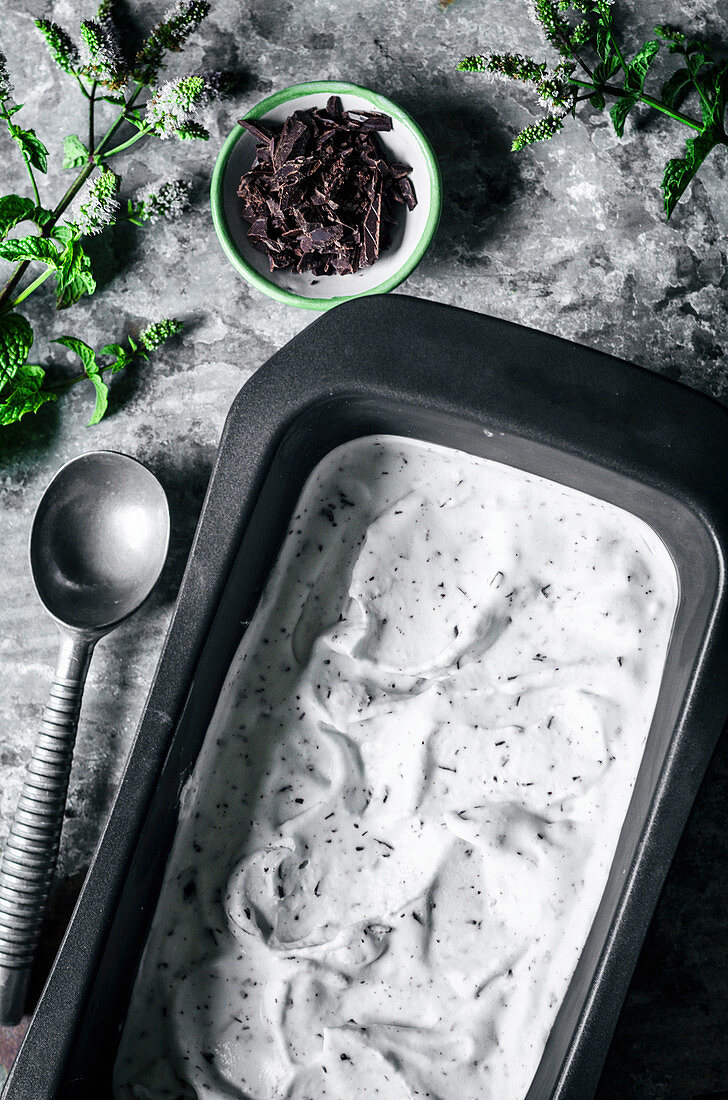 Vegan chocolate mint ice cream with coconut milk