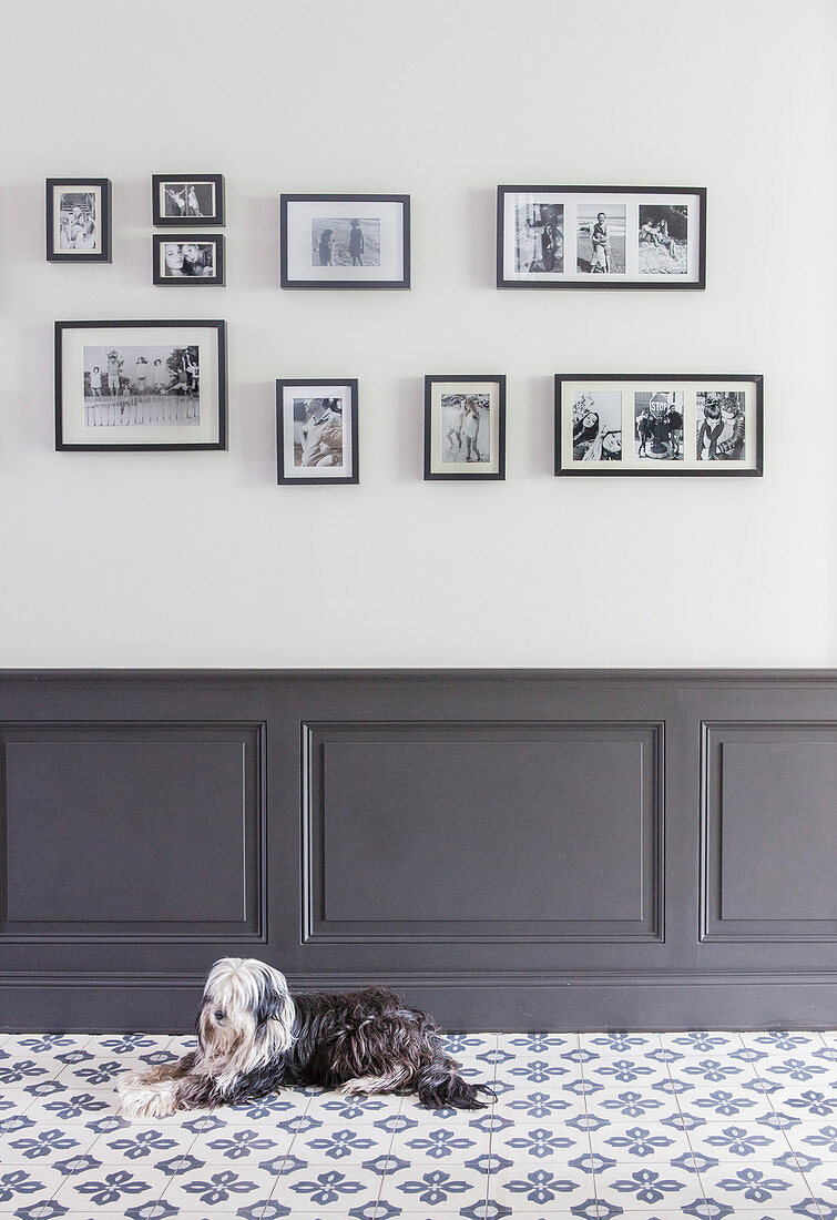 Dog lying on tiled floor in front of panelled wainscoting and gallery of photos on wall