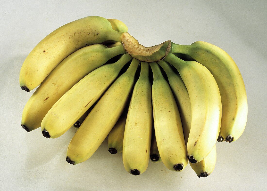 Eine Staude Bananen