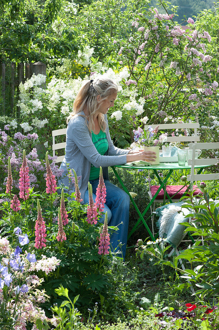 Seating In The Garden Between Lilac And Perennials