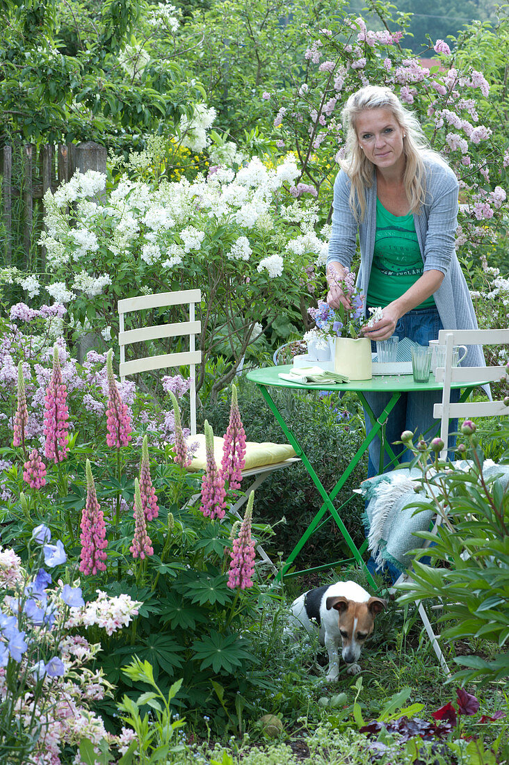 Seating In The Garden Between Lilac And Perennials