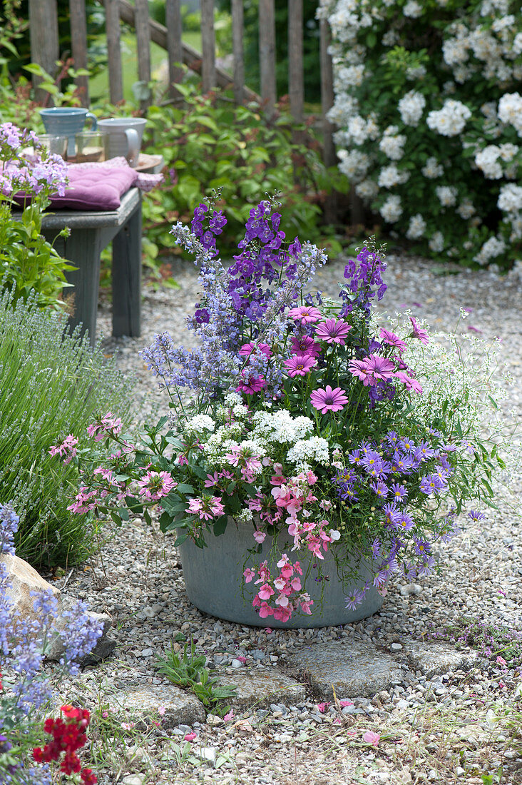 Large bowl planted in blue, pink and white