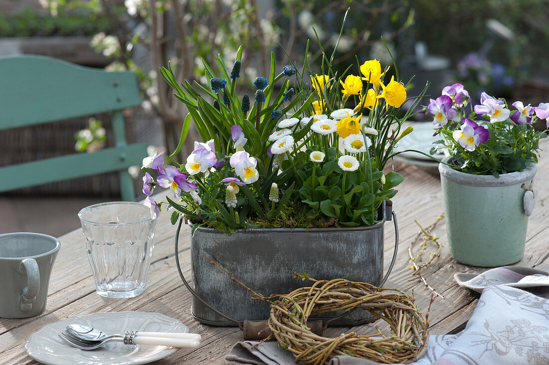 Planted Box With Spring Bloomers As Table Decoration