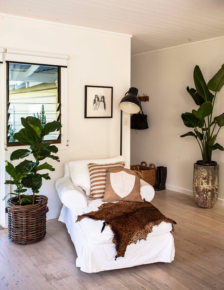 Day bed with white cover, floor lamp and house plants in the living area