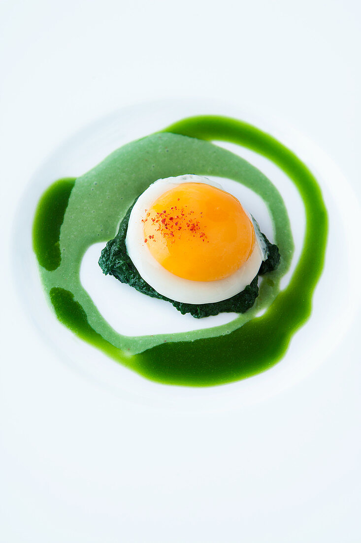 A fried egg on spinach purée and sorrel coulis