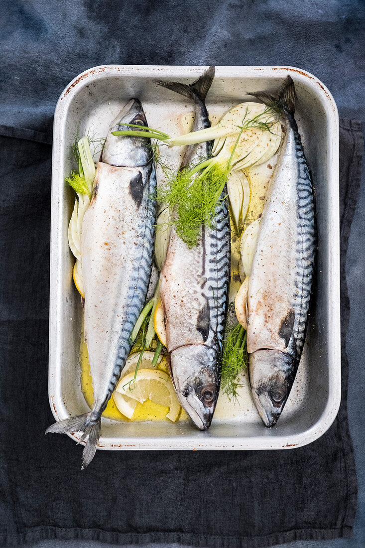 Trout with dill and lemons in a oven dish