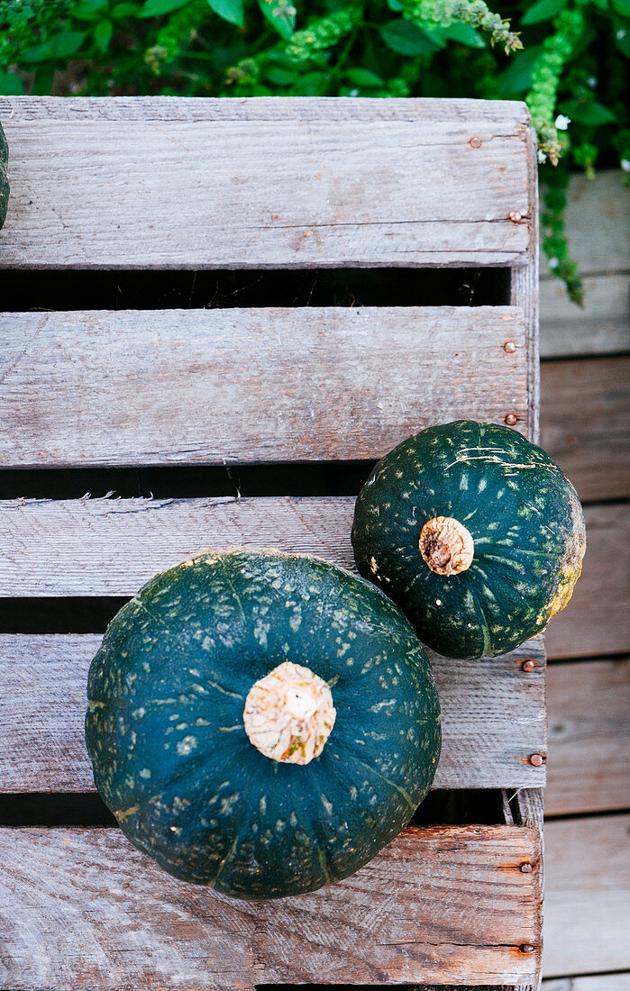 Two green pumpkins at a wooden box from above